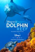 Dolphin Reef izle