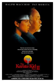 The Karate Kid Part II (1986) izle