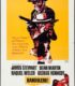 Bandolero (1968) izle
